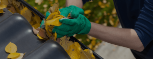 Gutters being cleaned