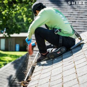 gutter cleaners in Illawong