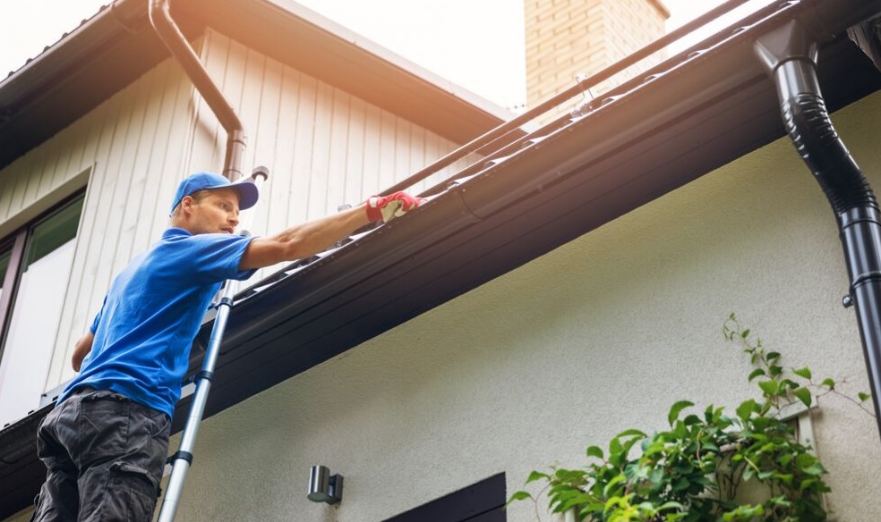 gutter cleaning