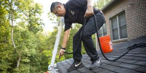 Gutter Cleaning