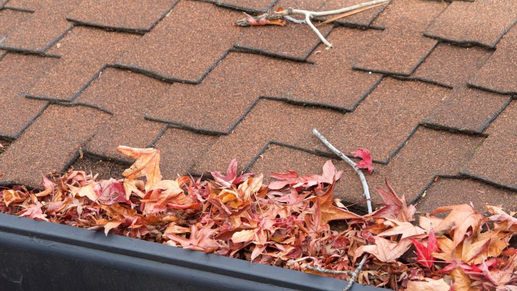 Gutter Cleaning