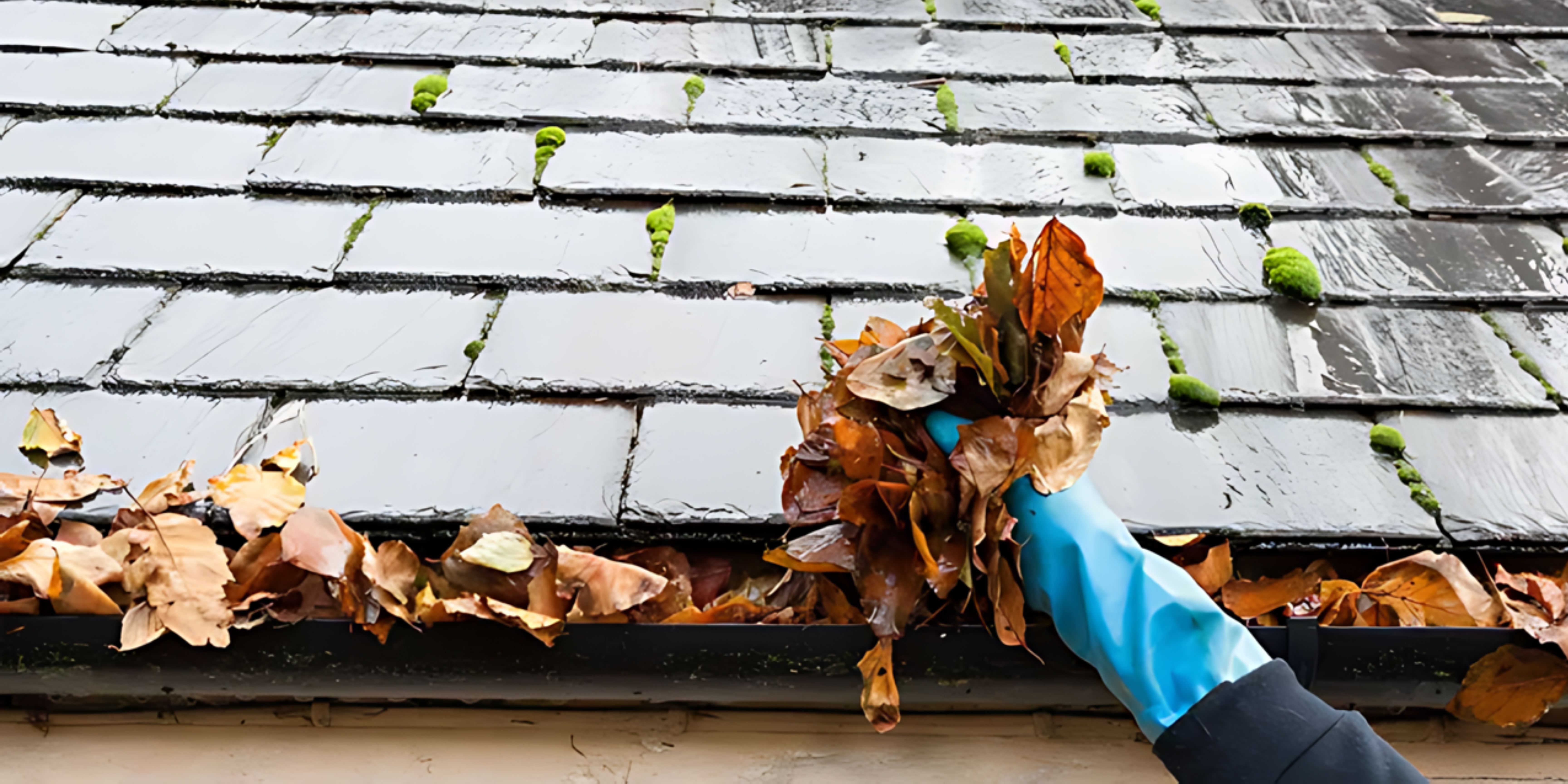 Menai Gutter Cleaners